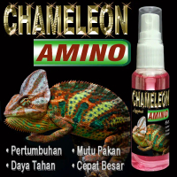 CHAMELEON AMINO FOOD SUPLEMENT MENINGKATKAN MUTU PAKAN REPTILE KAMELEON KELELESA BUNGLON EROPA CHAMA