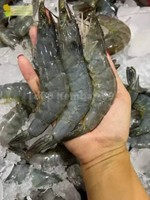 Udang 1Kg Udang Segar Udang Fresh Udang Vaname 1Kg Udang Vaname Segar Seafood Udang Segar 1Kg Vaname