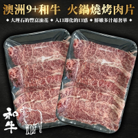 【海陸管家】澳洲9+和牛燒肉片3盒(每盒約100g)