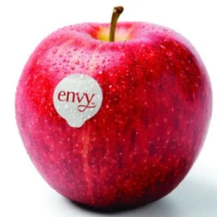 【馥果FruitGo】紐西蘭愛妃ENVY蘋果30粒/9公斤 原箱(ENVY)