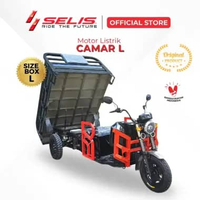 SELIS - Motor Listrik Roda 3 Camar ( Gerobak Motor Listrik Untuk Usaha ) Box L