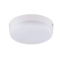 【王哥燈飾】LED 22W流雲吸頂燈 IP44防水防塵防蚊蟲(白光/自然光/黃光)