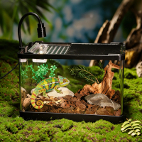 Turtle Tank with Basking Platform, Transparent Aquarium Terrarium for Reptile Fish Desktop Habitat |
