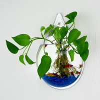 壁掛水培創意綠蘿綠植花盆掛壁掛墻圓形裝飾器皿透明花瓶大號簡約