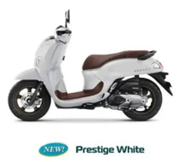 Honda Scoopy Smartkey Bandung Prestige White