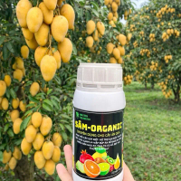 SÂM B1 chai 500ml _ chế phẩm hữu cơ