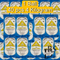 1BALL - 40PCS Garam Masak Beryodium Cap 55 Kemasan 100gr - Garam Penyedap Bumbu Masakan