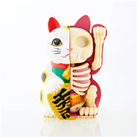 White money cat 4d master puzzle Assembling toy Perspective bone anatomy model