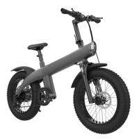 Fat Tire Bike 20-inch 7-speed mountain bike 48V750W beach Snow Bike Adult electric bike Cruiser electric bike