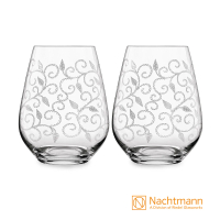 【Nachtmann】情趣酒杯(2入)
