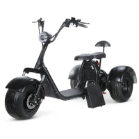 2 Wheel Electric Scooter Scooters Vintage For Adult Electric Motorcycle