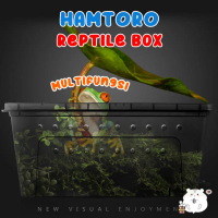 Hamtoro Gecko Box Kandang Besar Feeding Hamster/Reptil/Gecko box  hamster