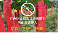 紅色絲瓜網套袋，22.5cm寬，各種不同長度，500網目/圓周、超細網目，大多數昆蟲無法看到紅色，可以避免昆蟲發現和接近包裝的物品、防止果蠅叮咬。