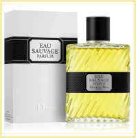 CHRISTIAN DIOR 迪奧清新之水男士淡香精香水 EAU SAUVAGE MEN EDP 100ML