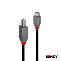 LINDY 林帝 ANTHRA USB2.0 Type-C/公 to Type-B/公 傳輸線 1m (36941)