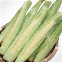 帶殼玉米筍300g