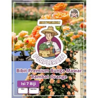 Bibit Premium Bunga Mawar Rambat Orange |Biji Benih Mawar Rambat Orange