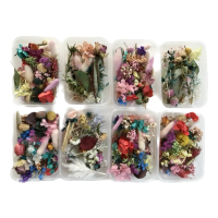 【BJ SHOP】4入組-綜合乾燥花盒 香薰蠟燭 香氛片材料 天然乾燥花 植物果實 永生花(天然乾燥花 永生花)