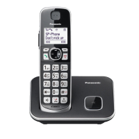 Panasonic 國際牌 國際牌Panasonic 中文顯示大按鍵無線電話 KX-TGE610TWB(電話機)