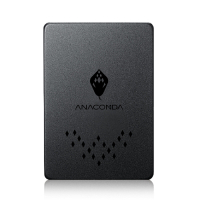 ANACOMDA 巨蟒 TB 480GB SATA III SSD