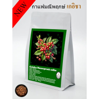 KAFE HMONG กาแฟเกอิชา อัญมณีแห่งผืนป่าเมืองน่าน Honey บ้านมณีพฤกษ์ Rank no.1 ในไทย ที่สุดของกาเเฟ