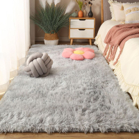 Thick Plush Car Bedroom Girls Bedside Living Room Floor Mat Soft Velvet Rug Fluffy Long Hair Lounge