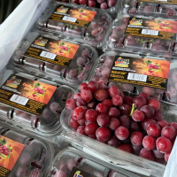 Buah segar fresh fruits anggur candy usa anggur rasa permen 1 dus 10pck buah