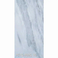 FOSB 18mm phủ PETG - FOSB - 18mm - PETG - PETG-PMG 16 (Tấm)