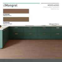 ROMAN GRANIT 120x20 dMongrel Wengue GT1222219R