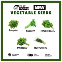HERB Seeds-Sweet basil Parsley Celery Arugula buching-High Quality Delivery Fast