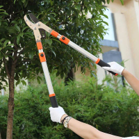 Gunting rumput dan tanaman hias gagang panjang STAINLESS STEEL TAJAM