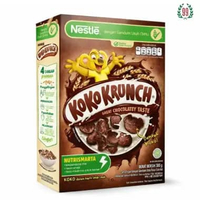 NESTLE KOKO CRUNCH 300GR BOX