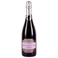 Howard Cai Select Sparkling Tea Jasmine 蔡昊精選茉莉氣泡茶 (750ml)