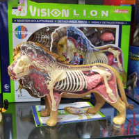 4D Vision THE DISSECTED Lion ANATOMY MODEL Medical Animal Skull Skeleton Anatomical Model Science Educational Toys for Kids