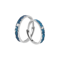 Siberian Sunset S925 Sterling Silver Couple Rings, Unique Design Open Rings for Men and Women, Gift 