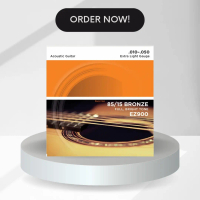 Senar Gitar Akustik D Addario EZ 900 ( 0.10 )