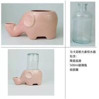 不溼下巴大象飲水器加菲貓大臉扁臉喝水碗防打翻加防溼陶瓷