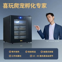 【台灣公司 可打統編】爬寵孵化箱烏龜孵化機蜥蜴孵化器爬蟲恒溫箱蛇類冬眠冬化箱孵化柜