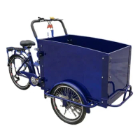 Oem Ce Approved Triciclo Electrico Adulto Family Use Electric Trike Front Loading Cargo Tricycle Mobile 3 Wheel Cargo Bike