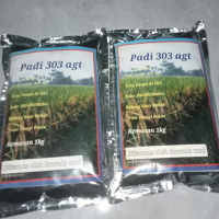 benih padi 303 agt premium 1kg original benih padi unggul 303 agt 5