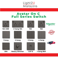 On Sale Schneider Avatar On C Full Series Switches Socket With Fluorescent Locator (Dark Grey) |   S