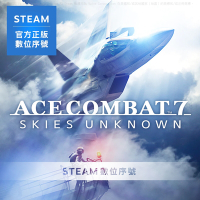STEAM 啟動序號 PC 空戰奇兵7 未知天際 數位 一般中文版