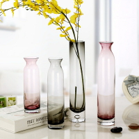 小清新玻璃花瓶透明 創意歐式直筒細長小口花瓶客廳擺件干花花瓶