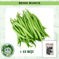 Benih Bibit Buncis Tanaman Sayur Buncis 15 Biji Kualitas Terbaik