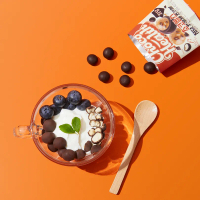 ChocoHealth Low Sugar Allulose Pretzel Choco Ball 30g