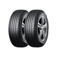 【DUNLOP 登祿普】輪胎登祿普PT5-2256017吋_二入組_225/60/17(車麗屋)