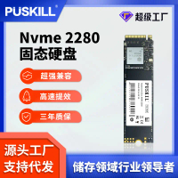 Pemacu Keadaan Pepejal M.2 NVMe, PUSKILL, Antara Muka PCIe, SSD, Tersedia dalam 256GB dan 512GB, Pem