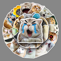 50 Sheets of Hilarious Cat Meme Stickers - Funny Kitty Face Decals to Show Your Personality, Waterpr
