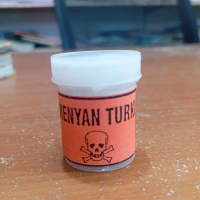 kemenyan turki asli original ukuran kecil