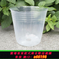 【台灣公司 可開發票】蝴蝶蘭營養杯石斛蘭花專用種植花盆透明盆無菌育苗杯定植籃營養缽